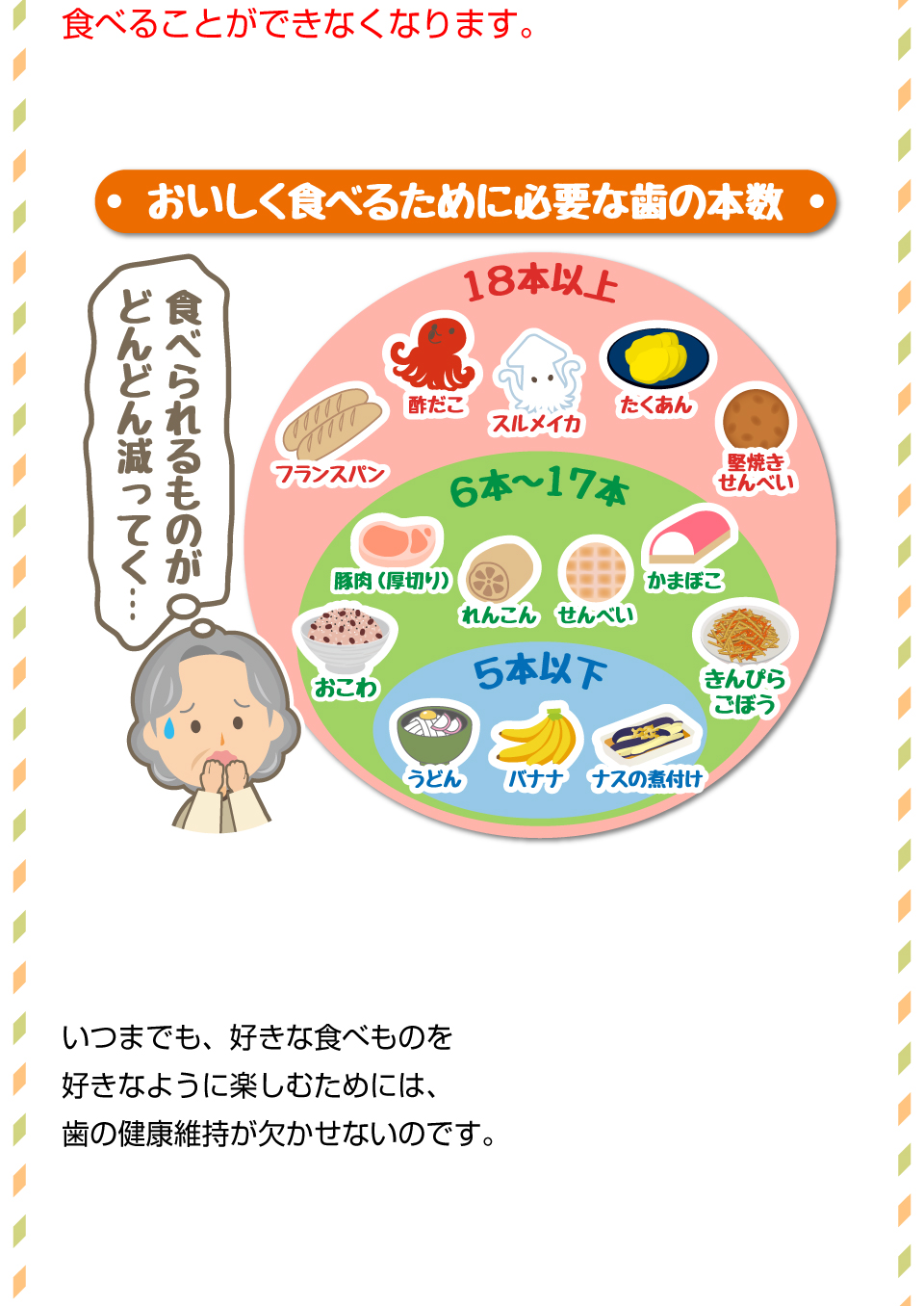歯の本数の影響力について♪